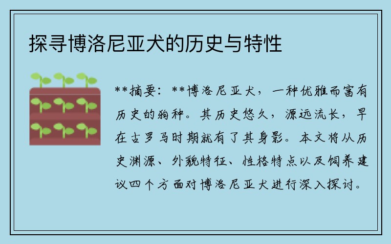 探寻博洛尼亚犬的历史与特性