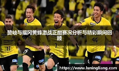 优游ub8赞岐与福冈黄蜂激战正酣赛况分析与精彩瞬间回顾